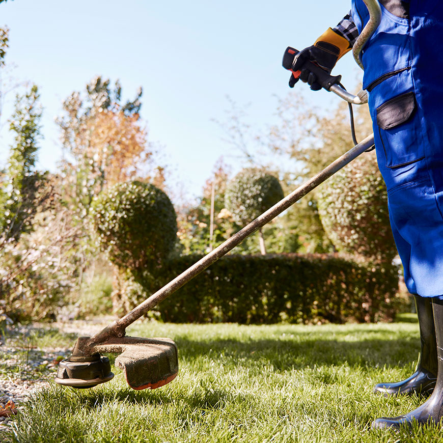 jasa-landscape-gardening